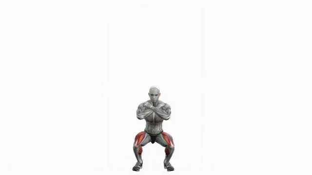 Bodyweight Squat (6)