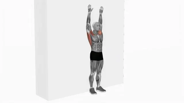 Bodyweight standing around world wall supported (2)