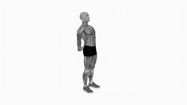 Bodyweight standing back stretch (2)
