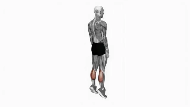 Bodyweight standing calf raise (2)