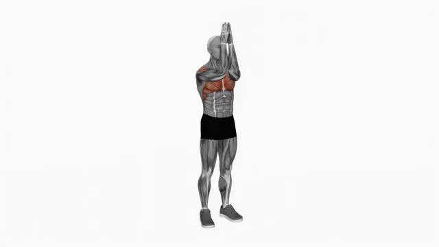 Bodyweight standing fly (2)