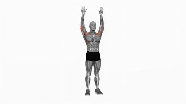 Bodyweight standing military press (2)