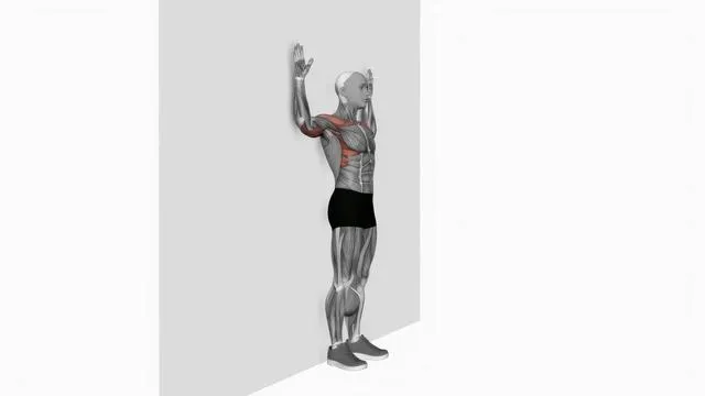 Bodyweight standing military press (3)