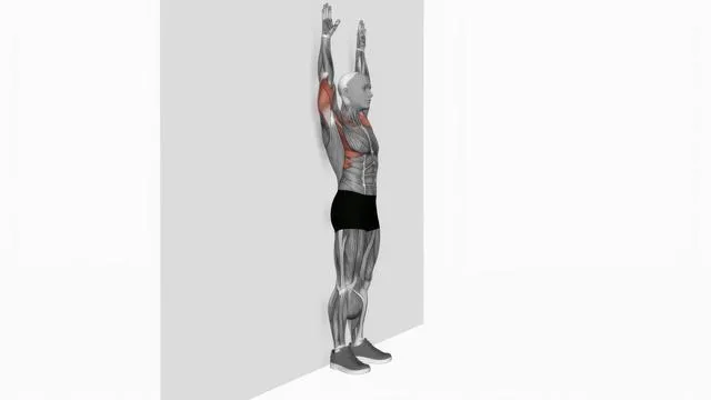 Bodyweight standing military press (4)