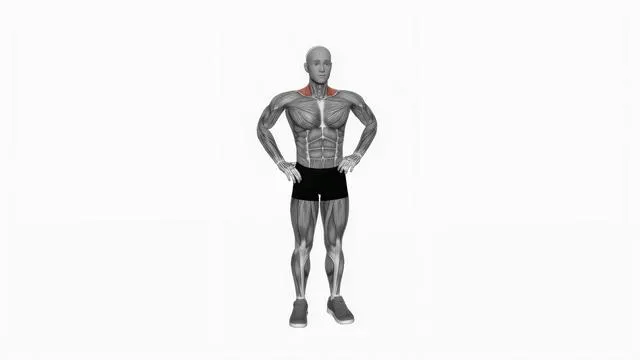 Bodyweight standing shrug (2)