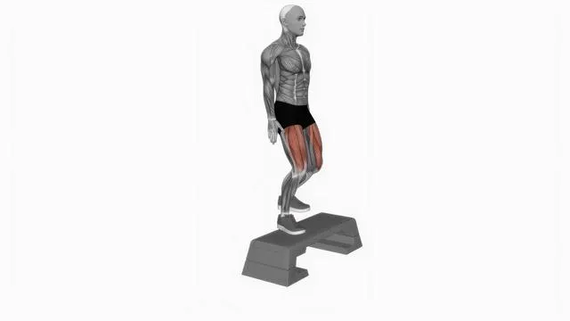 Bodyweight step-up on step box (2)