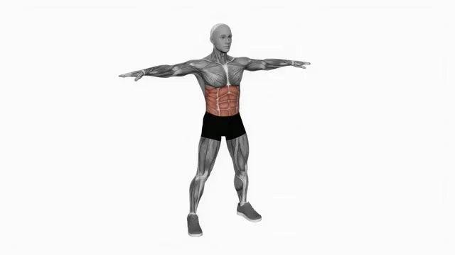 Bodyweight windmill (3)