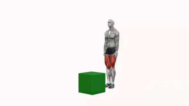 Box jump (3)