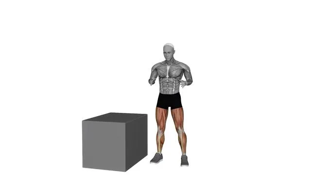Box jump (5)
