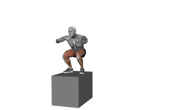 Box jump (6)