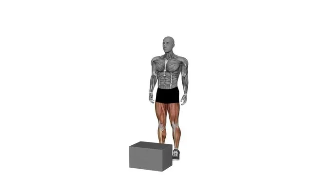 Box jump (7)