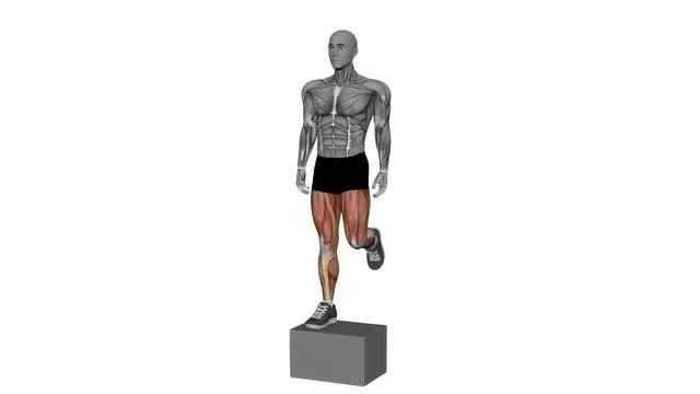 Box jump (8)