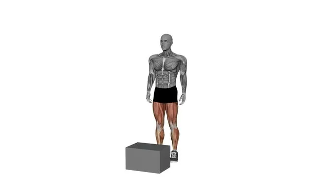 Box jump (9)