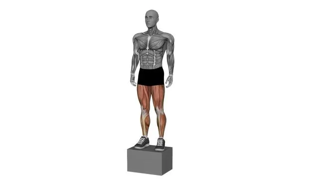Box jump (10)
