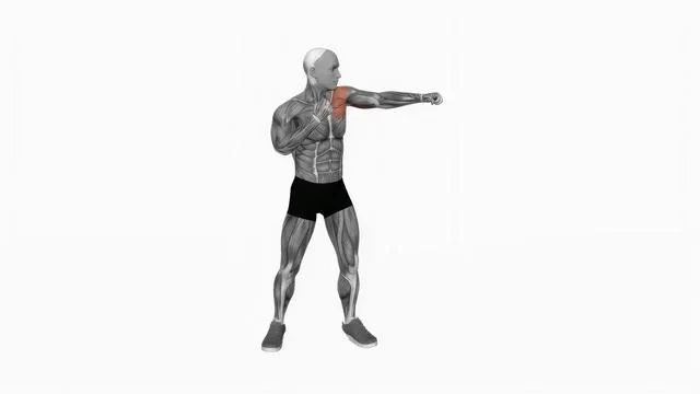 Boxing jab (2)