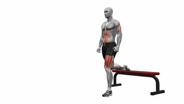 Bulgarian Split Squat (11)