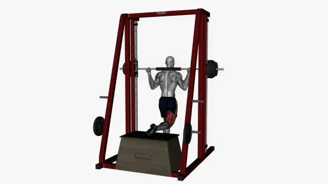 Bulgarian Split Squat (14)