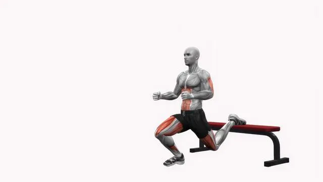 Bulgarian Split Squat (15)