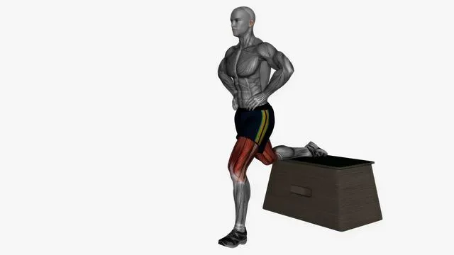 Bulgarian Split Squat (16)