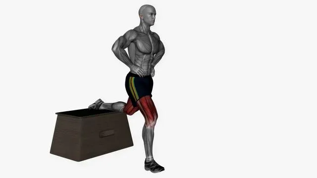Bulgarian Split Squat (18)