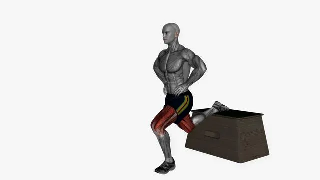 Bulgarian Split Squat (20)