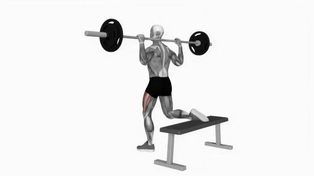 Bulgarian Split Squat (3)