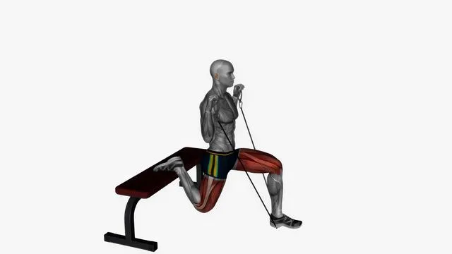 Bulgarian Split Squat (23)