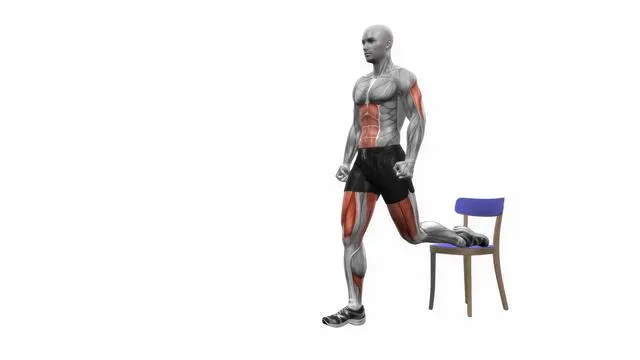 Bulgarian Split Squat (25)