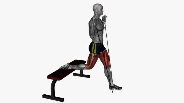 Bulgarian Split Squat (26)