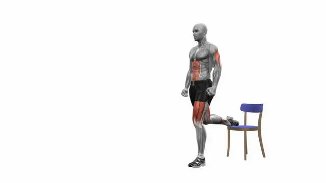 Bulgarian Split Squat (28)