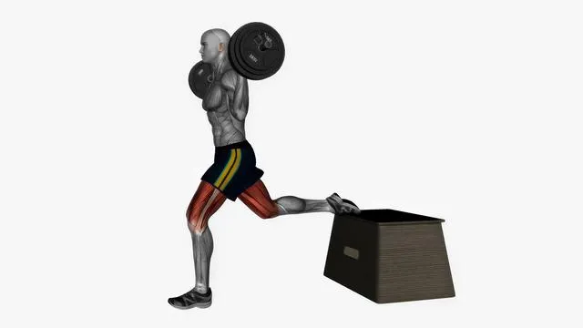 Bulgarian Split Squat (29)