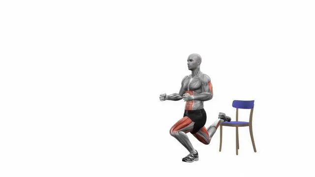 Bulgarian Split Squat (30)