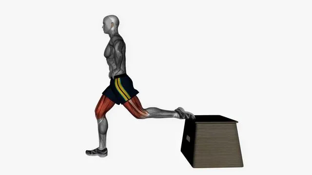 Bulgarian Split Squat (31)