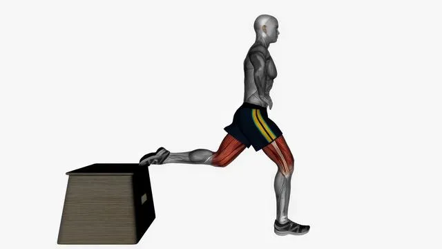 Bulgarian Split Squat (32)