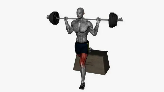 Bulgarian Split Squat (35)