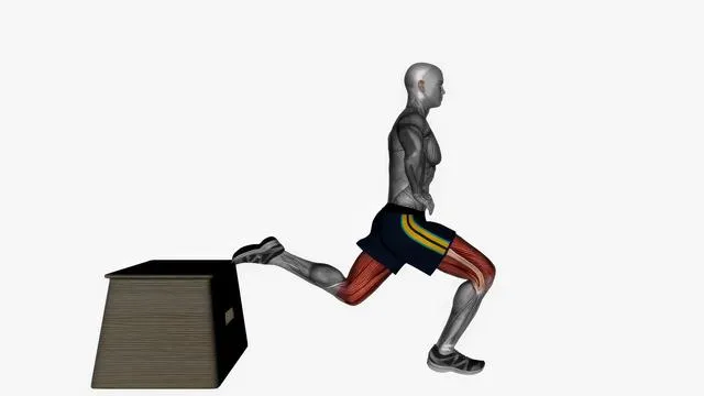 Bulgarian Split Squat (36)