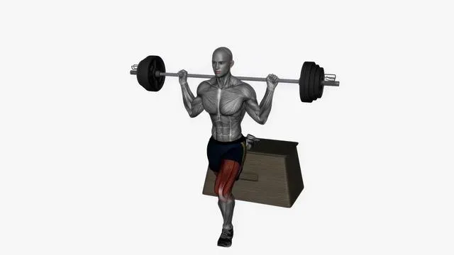 Bulgarian Split Squat (38)