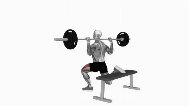 Bulgarian Split Squat (6)