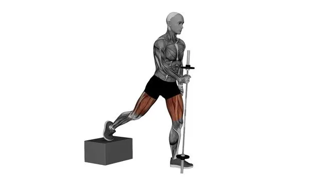 Bulgarian Split Squat (9)