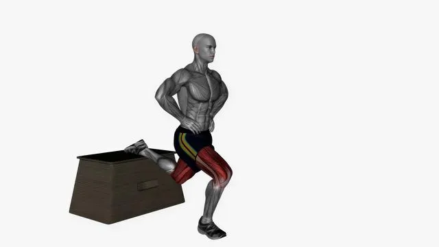 bulgarian split squat bodyweight right (2)
