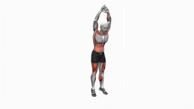 Burpee (3)