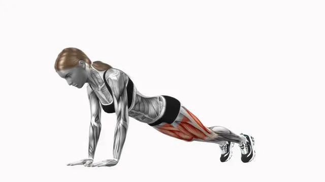 Burpee (4)