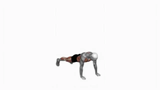 Burpee (6)