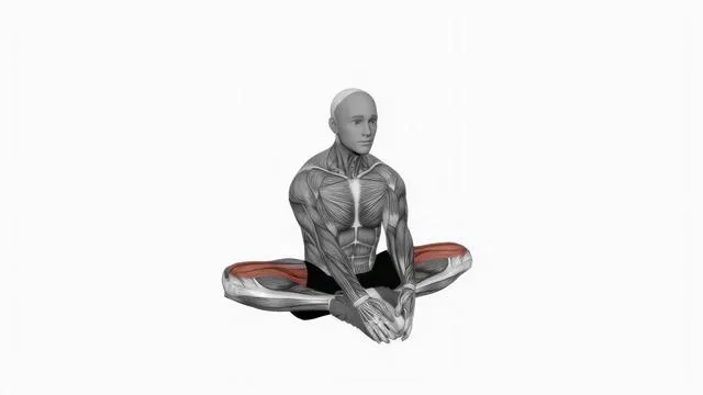 Butterfly yoga flaps (2)