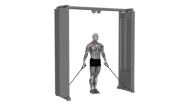 Cable 30 Degree Shrug (1)