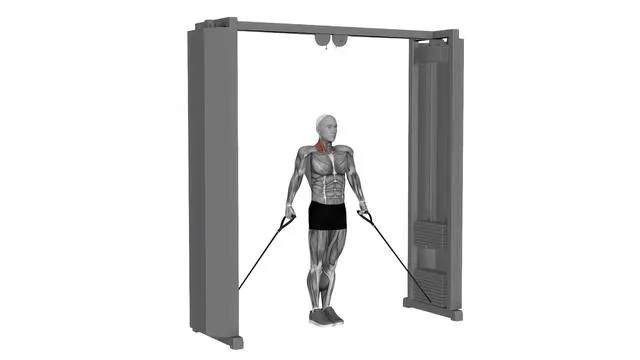 Cable 30 Degree Shrug (2)