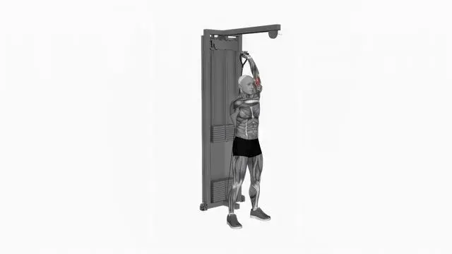 Cable alternate triceps extension (2)
