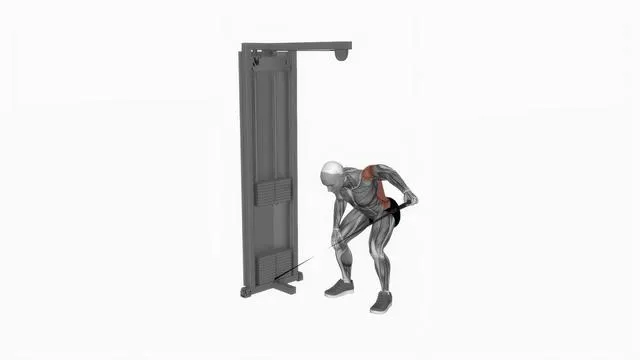 Cable bent over one arm lateral raise (2)
