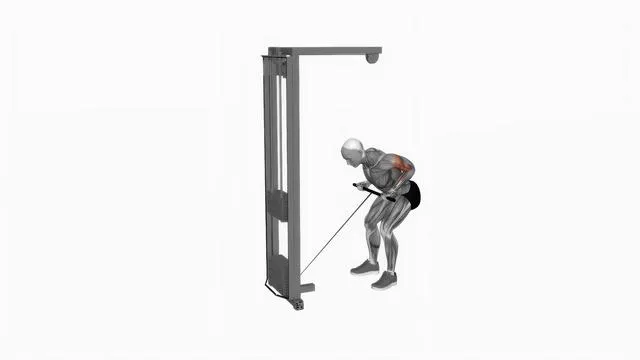 Cable bent over reverse grip row (2)