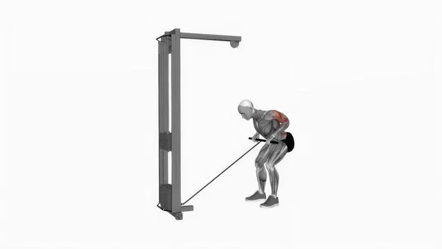 Cable bent over row (2)